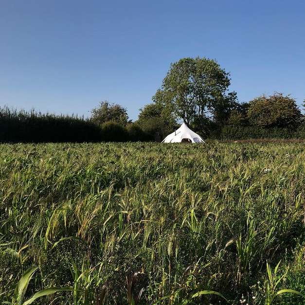 Micro Glampsites - Get A Return On Investment In One Season With Lotus Belle - Lotus Belle Tents UK